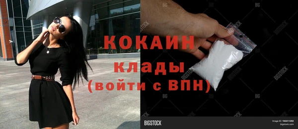 шишки Надым