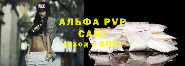 шишки Надым