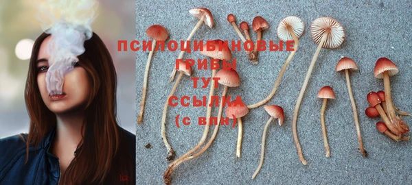 мет Абинск