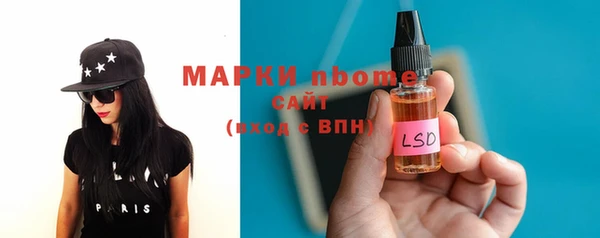 шишки Надым