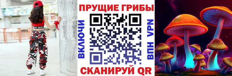 Галлюциногенные грибы GOLDEN TEACHER  закладка  Электроугли 